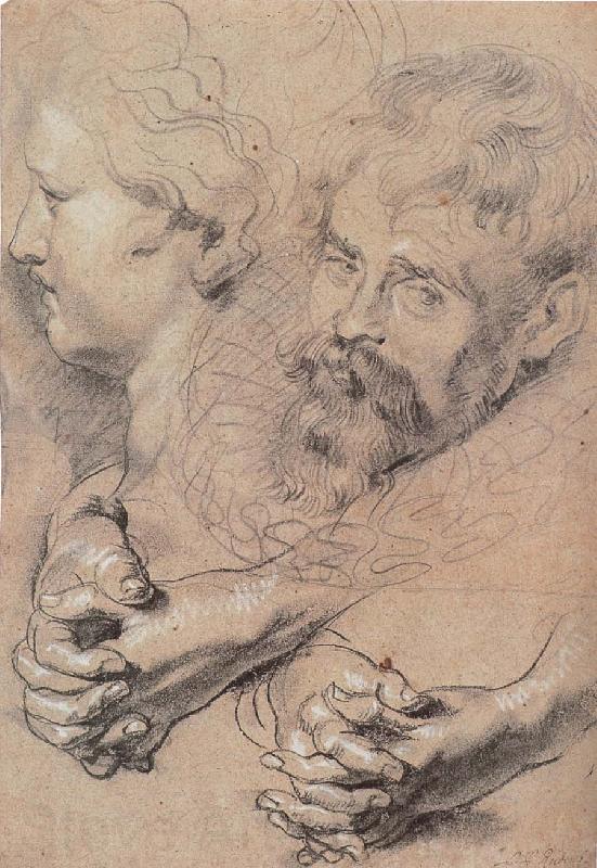Peter Paul Rubens Head and hand-s pencil sketch France oil painting art